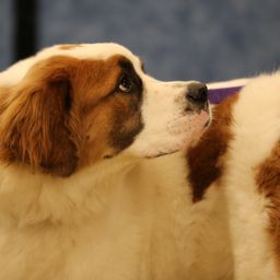 photograph by PeterW